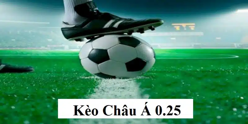 Khám phá cách đọc cược chấp 0.25 từ kèo nhà cái