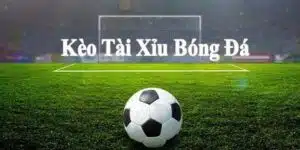 Kèo Tài Xỉu | Khám Phá Cách Tính Nhuận Chính Xác 2024