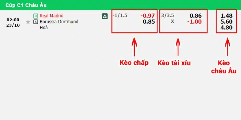 Bảng soi kèo Real Madrid vs Borussia Dortmund ngày 23/10/2024