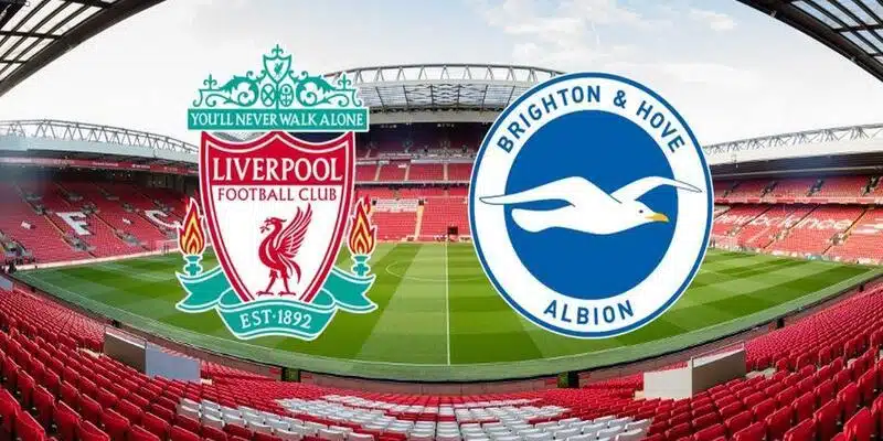 Soi Kèo Liverpool vs Brighton 22h ngày 2 tháng 11